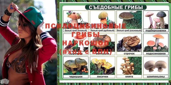 гидра Липки