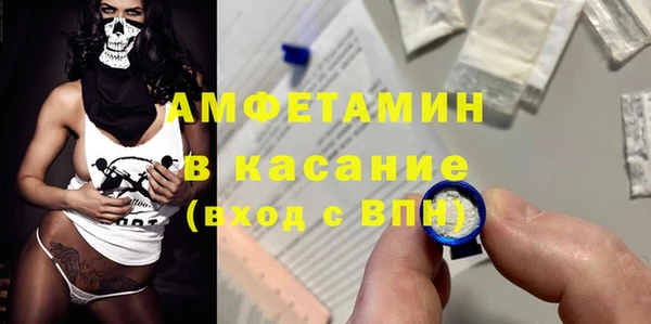 гидра Липки