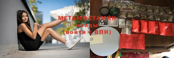 гидра Липки