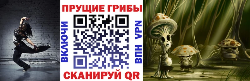 hydra зеркало  Павловская  Псилоцибиновые грибы Cubensis 